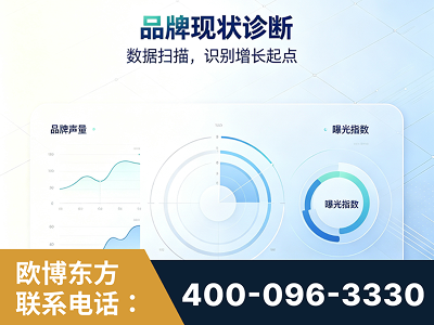 阿勒泰-品牌现状诊断