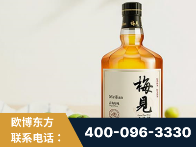 阿勒泰-梅见青梅酒